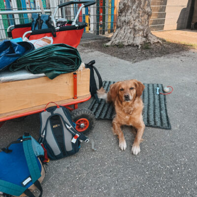 Tiergestützte Arbeit - Hündin Ava neben Bollerwagen
