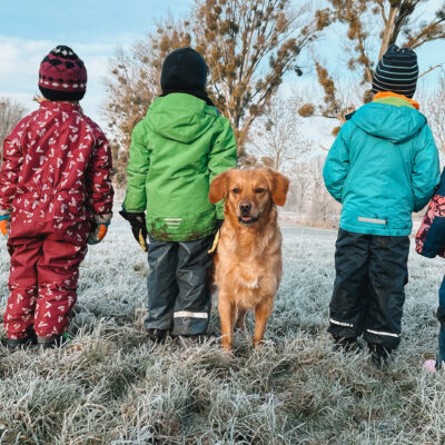 Tiergestützte Arbeit - Hündin Ava und Kindergartenkinder